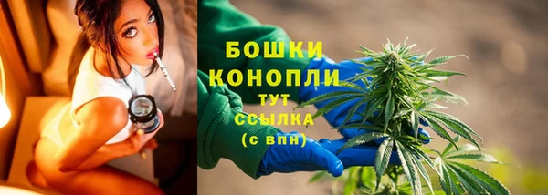 a pvp Аркадак