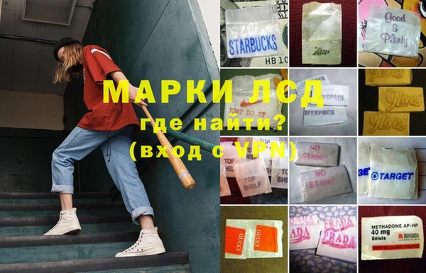 a pvp Аркадак