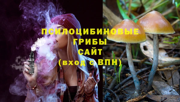 a pvp Аркадак