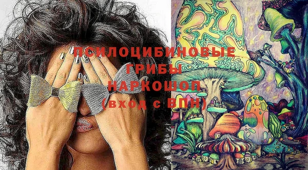 спайс Туринск