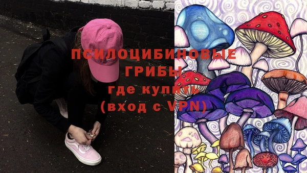 шишки Армянск