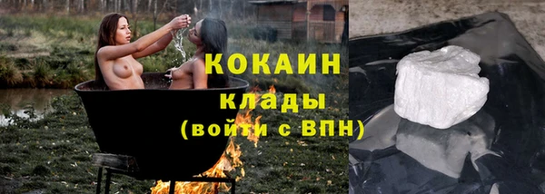 сатива Арсеньев