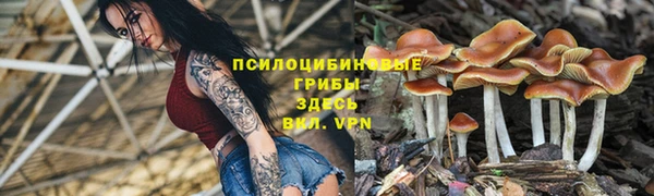 шишки Армянск