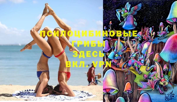 a pvp Аркадак