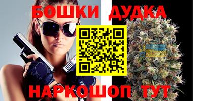 индика Первоуральск