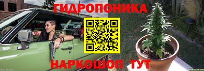 индика Первоуральск