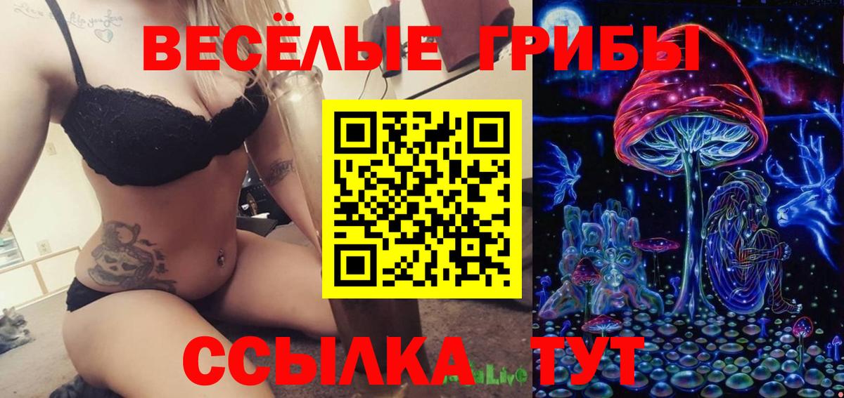 Якутск  Галлюциногенные грибы Cubensis  Галлюциногенные грибы ЛСД  Вход с VPN 